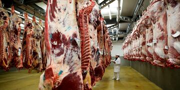 Exportaciones récord de carne en setiembre y octubre