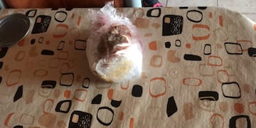 Producto encontrado dentro del sachet de tomate Tolhuin, Tierra del Fuego