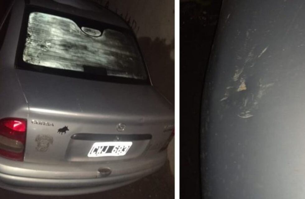 Una bahiense se peleó con el padre y destrozó el auto de su hermano