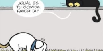 Mayor y Menor #819, por Chanti