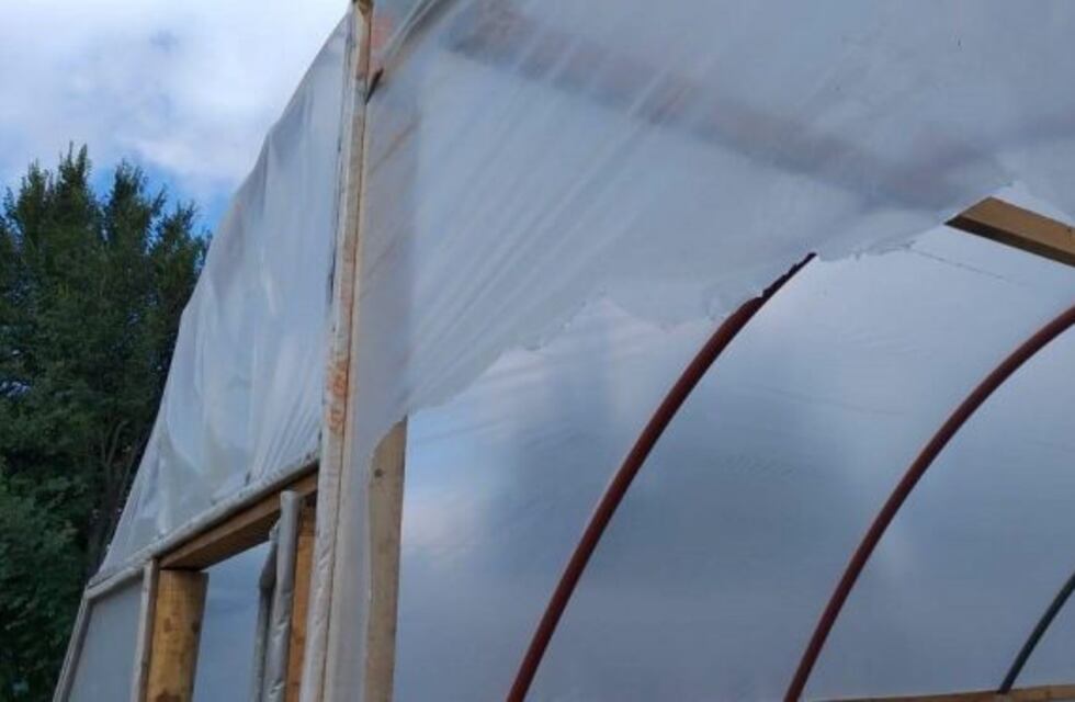 Delincuentes robaron en el vivero municipal de Bariloche