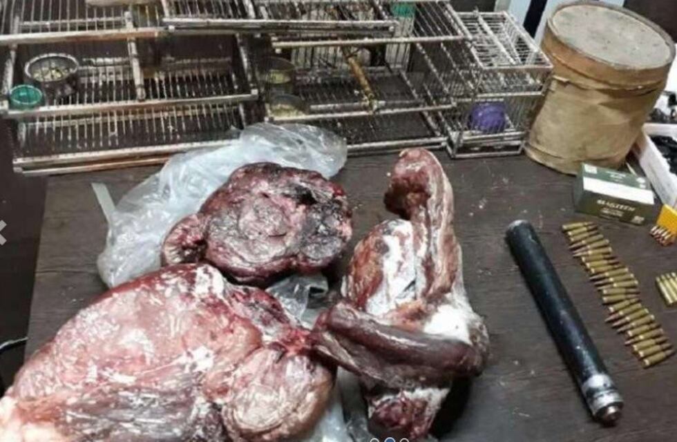 Mendoza: descubrieron un matadero clandestino de caballos en Villavicencio