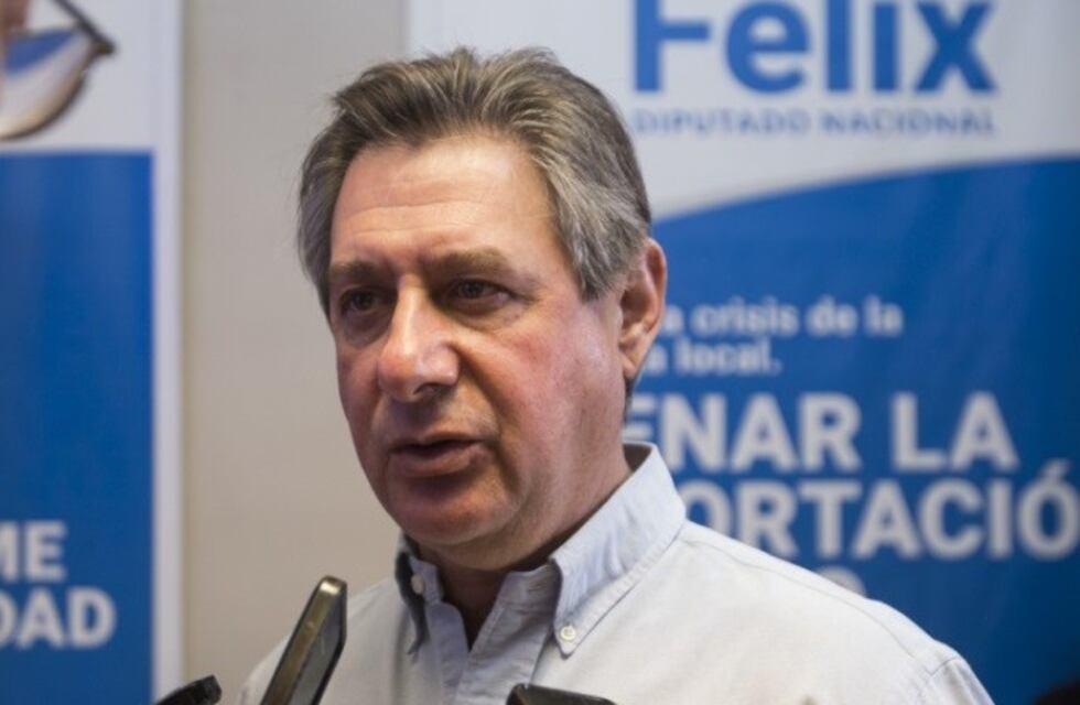 Omar Félix: "El debate entre los modelos se discutirá en octubre"