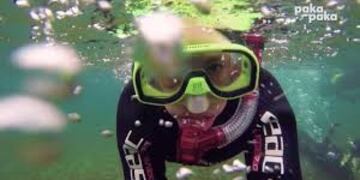 Misterios Submarinos del Beagle