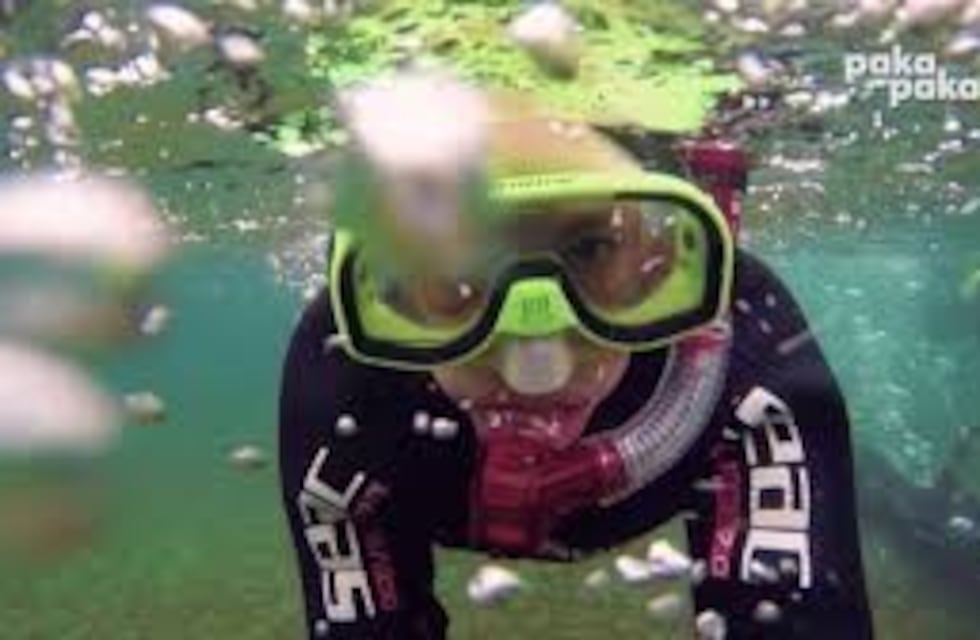 "Misterios Submarinos" la serie que produce la UNTDF ganó el premio FUND TV