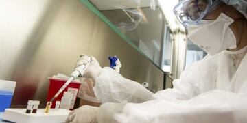 Análisis de Coronavirus en Misiones\u002E (CIMECO)