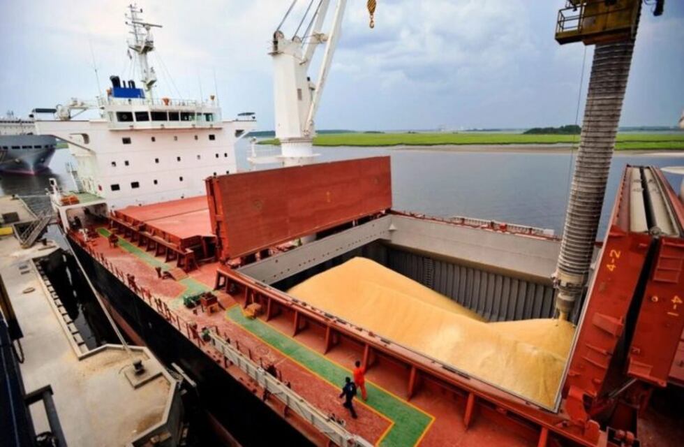 Aseguraron que el primer envío de harina de soja a China será a principios de 2020