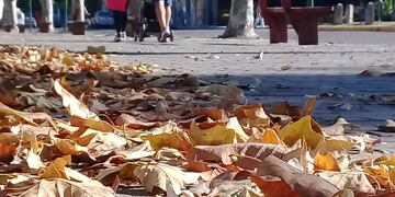 Iniciaron las salidas recreativas en Gualeguaychú\nCrédito: Vía Gualeguaychú