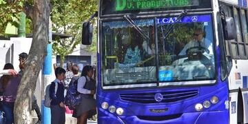 Transpuntano circula con frecuencia de domingo