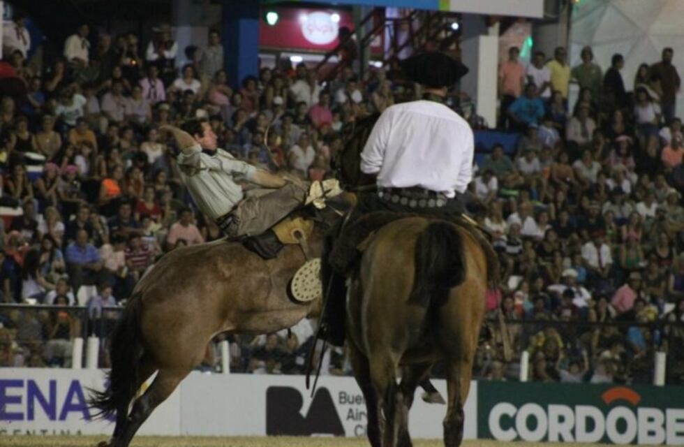 "Con un femicidio por día, mostrar un espectáculo como la doma es naturalizar la violencia", opinó un veterinario