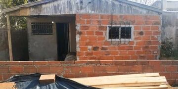 Hallan sin vida a una mujer: sus gatos le comieron parte del cuerpo (Foto: 0223)