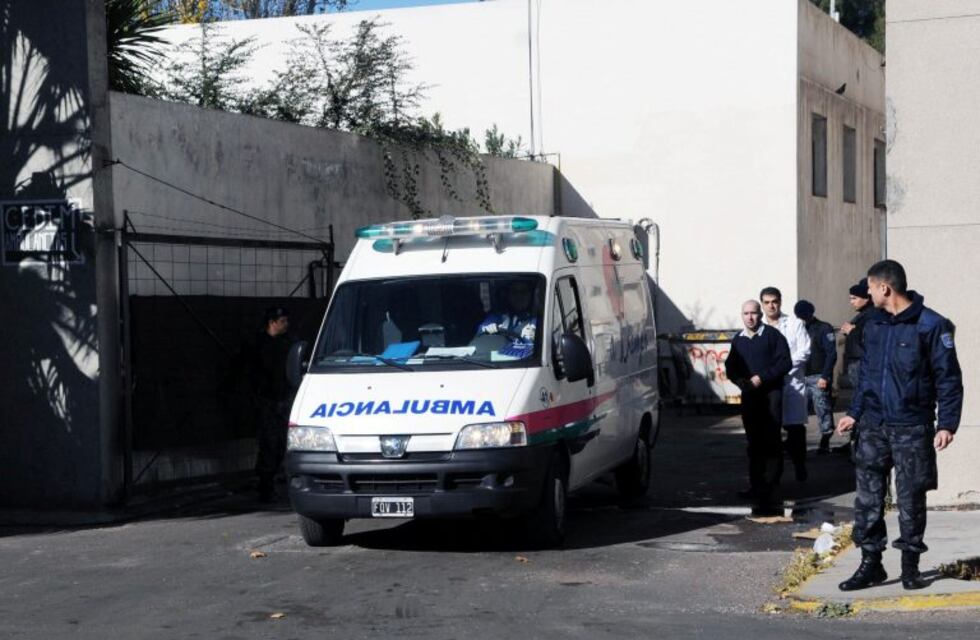 Cortaba leña en su casa y murió aplastado por un tronco