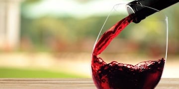 El malbec es emblema de nuestro país a nivel mundial.