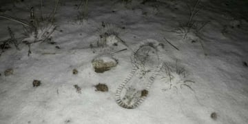 La primera nevada del año sorprendió en el otoño cordobés\u002E