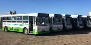 Municipio detectó pagos indebidos por 7 millones de pesos a Maxia