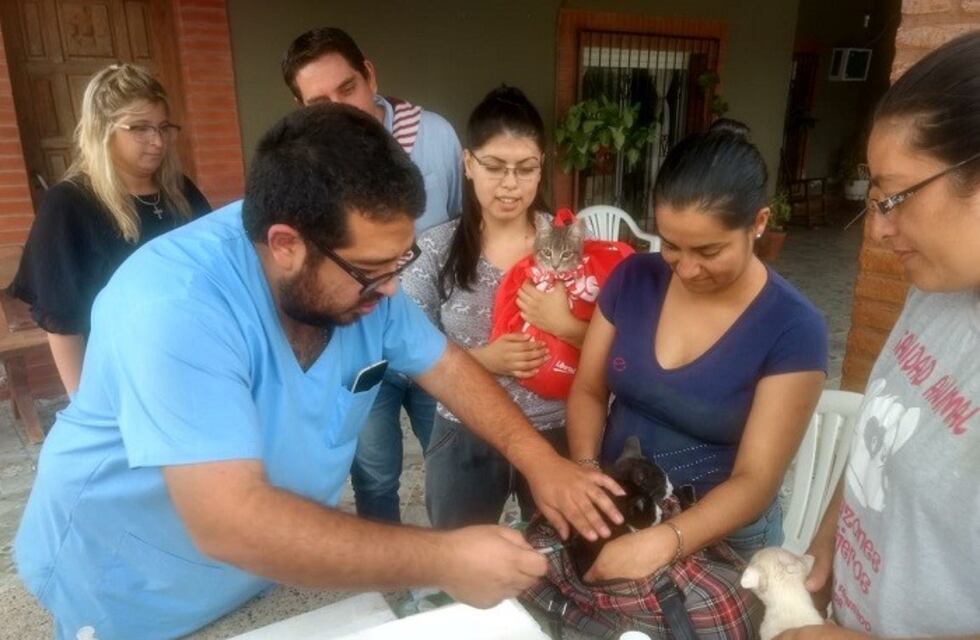 Más de 500 mascotas participaron del programa "Atención Veterinaria en tu Barrio"