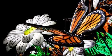 ELAU3279\u002E PARIS (FRANCIA), 13/12/2018\u002E- Esculturas iluminadas de mariposas hacen parte de la exposición 'Espece en Voie d'Illumination' que invita a los visitantes a caminar entre especies extintas o en peligro de extinción hoy en el parque del Museo Nacional de Historia Natural en París, Francia\u002E La exposición se extiende del 16 de noviembre de 2018 al 5 de enero de 2019\u002E EFE/ETIENNE LAURENT paris francia exposicion Espece en Voie d'Illumination invita a los visitantes a caminar entre especies extintas o en peligro de extincion Museo Nacional de Historia Natural