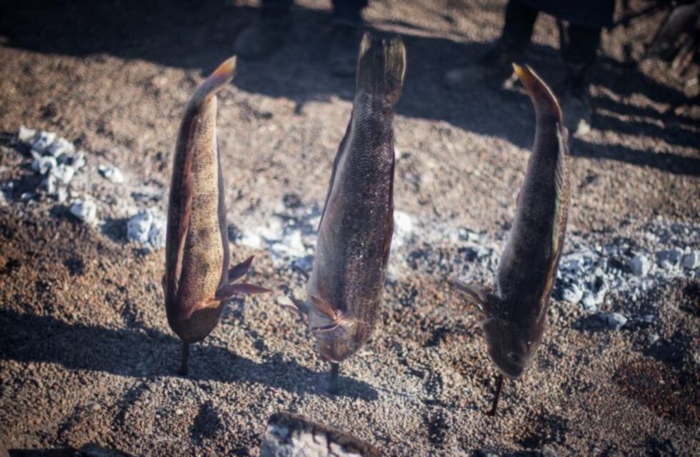 La gastronomía, protagonista en la propuesta patagónica en la FIT