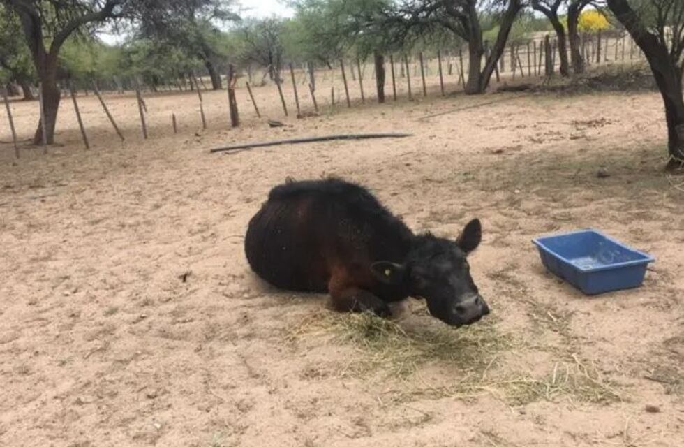 San Luis: las graves consecuencias del bloqueo a productores agrarios