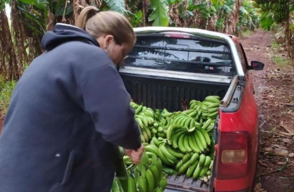 "Directo a su Mesa", una aplicación creada por agricultores del norte de la provincia
