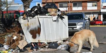 Basura acumulada (Foto: Diario Jornada)\u002E