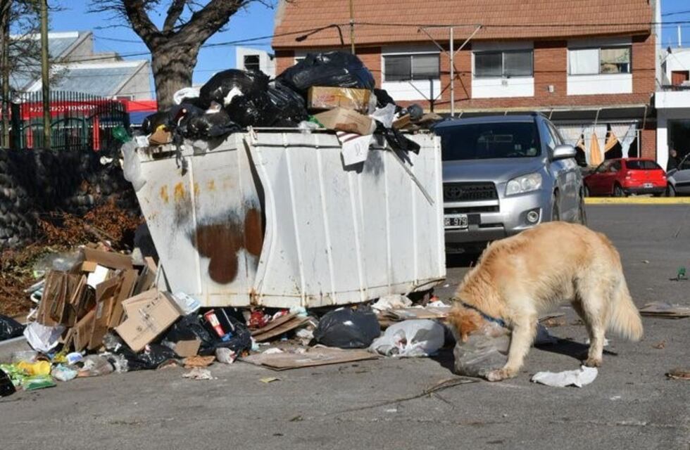 Rawson declaró la "emergencia ambiental" por acumulación de basura en la calle