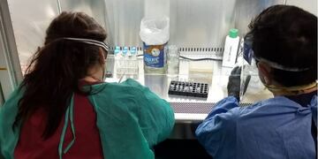 Laboratorio del Hospital Masvernat