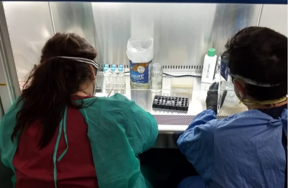 El Laboratorio del Hospital Masvernat comenzó a analizar muestras de Covid-19