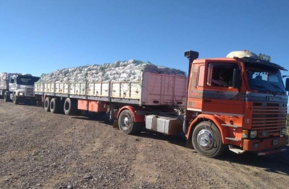 Comenzará la entrega anual de leña embolsada en Río Negro