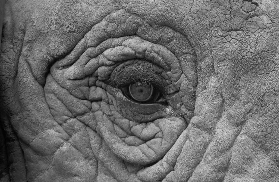 El Festival Nacional de la Fotografía Argentina llega a Mendoza