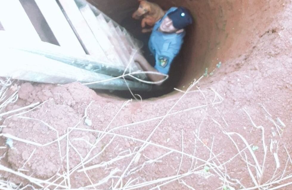 Rescataron a un perro que cayó a un pozo de 15 metros en Misiones