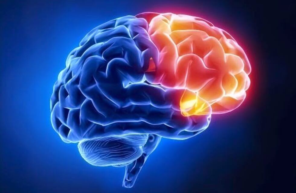 Siguen las charlas en Carlos Paz por la Semana Internacional del Cerebro