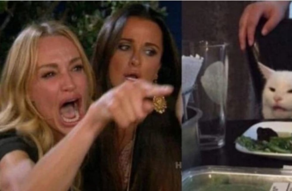Enterate el particular origen del meme del gato en la mesa y la mujer que grita