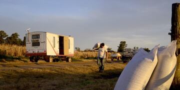 Bolsas de semillas\nPhotographer: Diego Giudice/Bloomberg