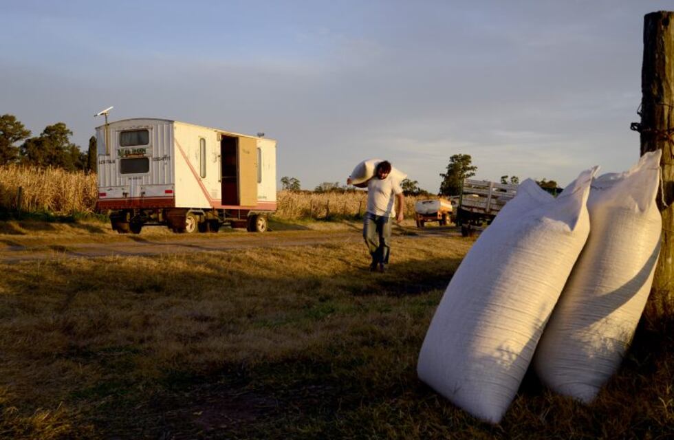 Plásticos en la agricultura y su posterior vida final
