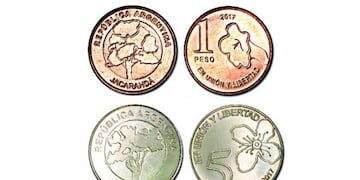 Ya circulan las nuevas monedas de 1 peso: son más chicas y de color rojizo