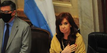 Sesión vrtual en el Senado\u002E (Foto: Clarín)