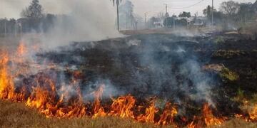 San carlos concordia