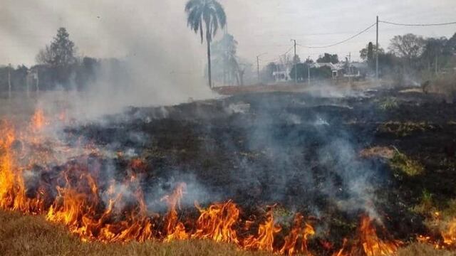 San carlos concordia