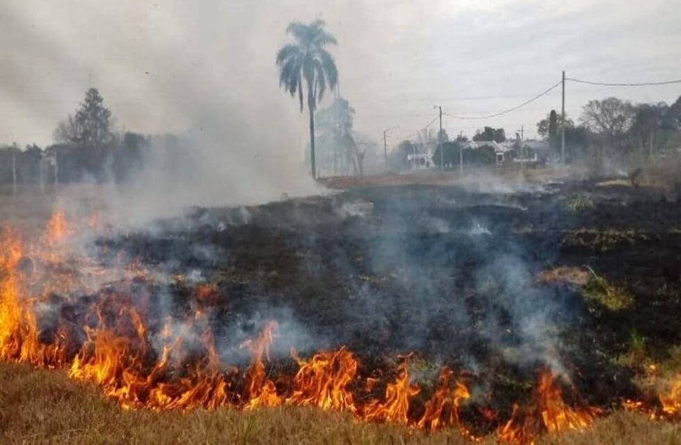 Se registraron focos de incendios en el Parque San Carlos