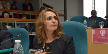 Diputada Ricci interpuso una acción de amparo por sesiones virtuales en la Cámara