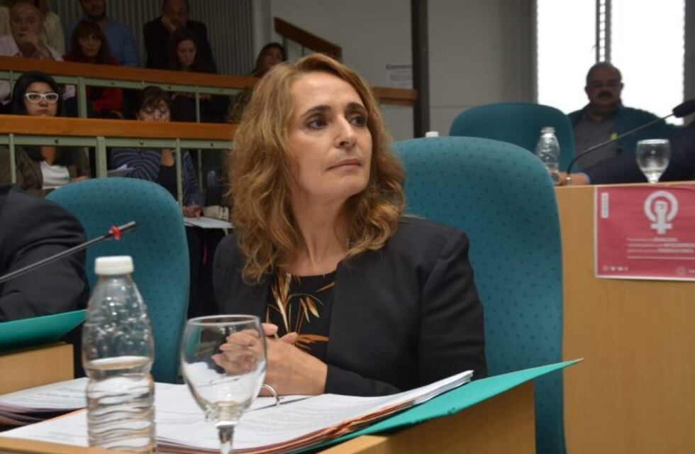 Diputada Ricci interpuso una acción de amparo por sesiones virtuales en la Cámara