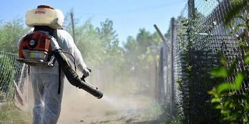 Aumenta a 650 los casos registrados de dengue en el Chaco\u002E (Web)\u002E