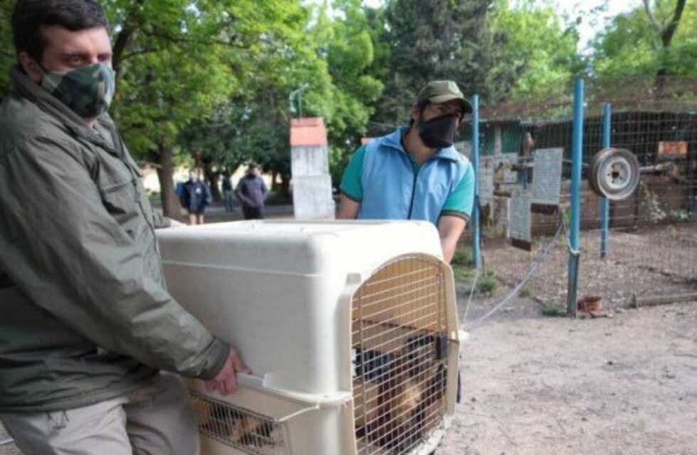 Cerró el refugio de animales silvestres de Paraná