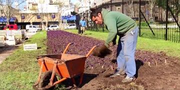 Reabren la Plaza del Congreso\u002E