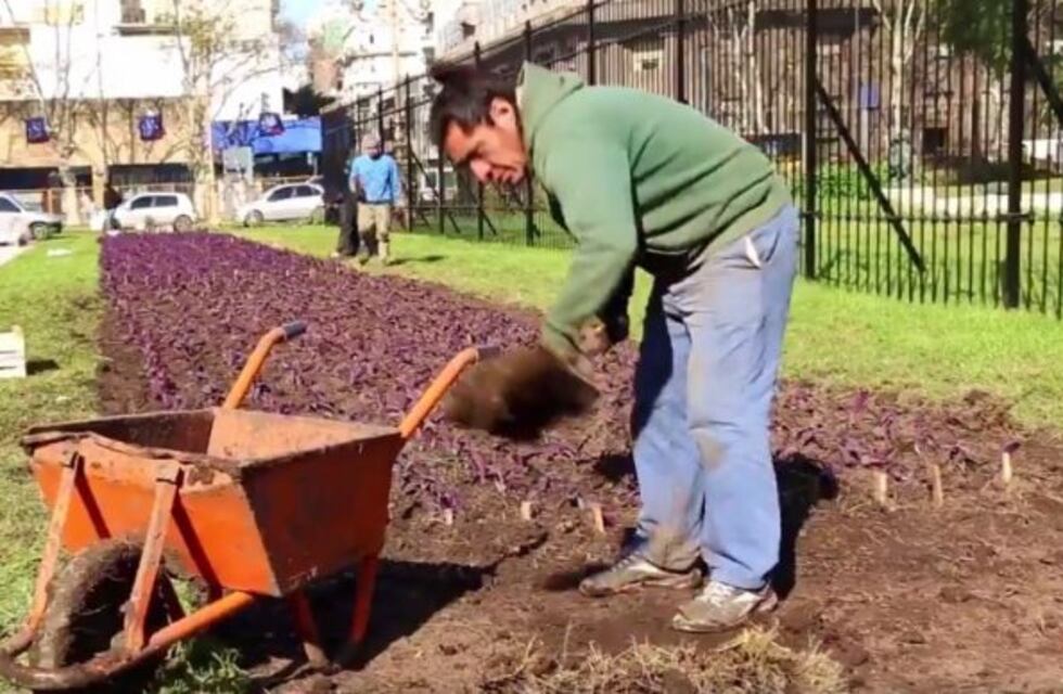 Reabren la histórica Plaza del Congreso con la restauración de monumentos y senderos originales