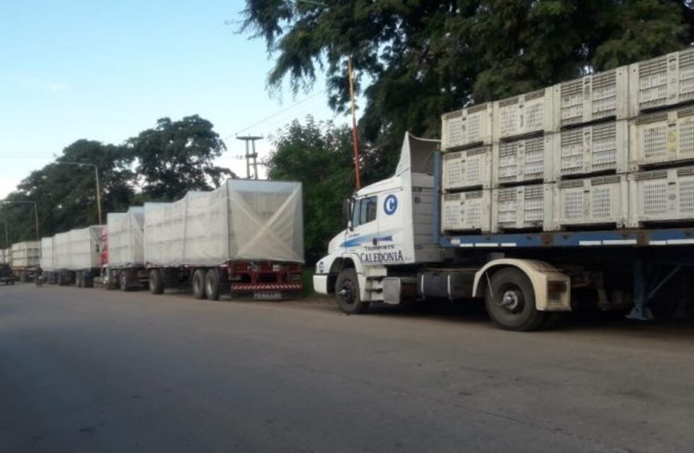 Manzur afirmó que el Gobierno mediará en el conflicto del citrus