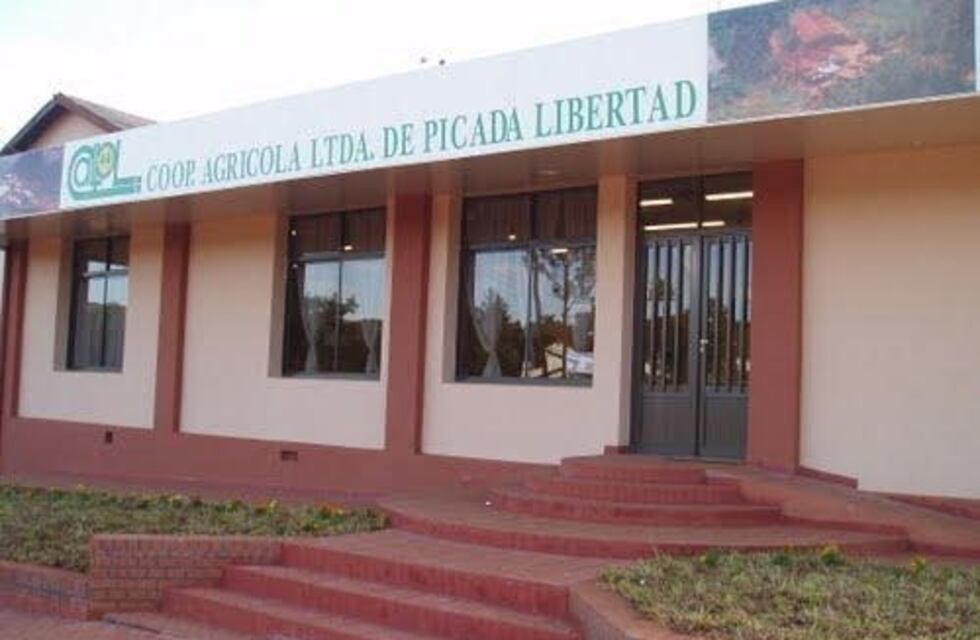 Alem: la cooperativa Picada Libertad reactivó su secadero de yerba después de siete años de inactividad