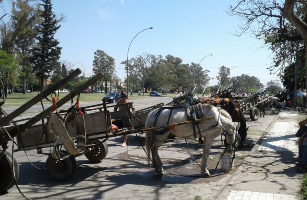La Municipalidad busca censar a los carreros para definir las problemáticas que atraviesan