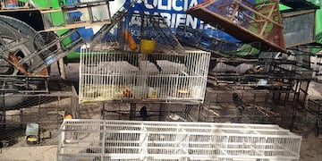 El sujeto detenido por tenencia de fauna autóctona es de la localidad de Brinkmann\u002E